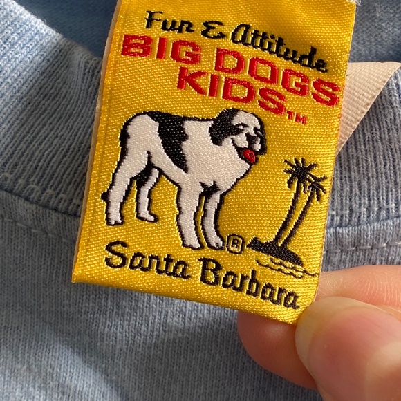 Big Dogs T-Shirt Youth (Big Kids) Size: 16/18 - Picture 4 of 8